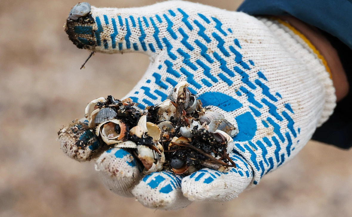 Александр Полегенько / ТАСС