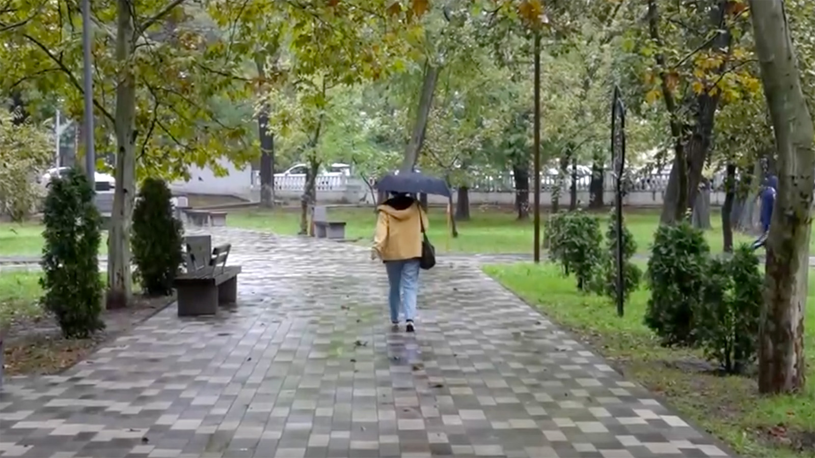 Улицы Махачкалы оказались под водой в результате мощного ливня. Видео