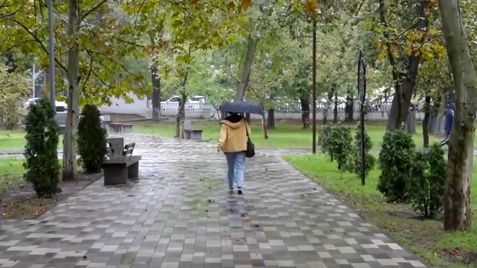 Улицы Махачкалы оказались под водой в результате мощного ливня. Видео