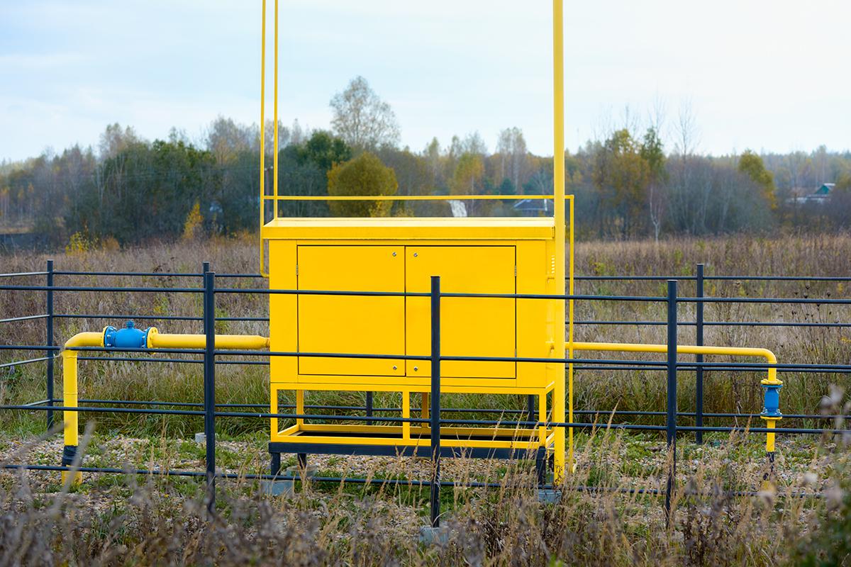 Фото: Lexis_Jan / Shutterstock / FOTODOM