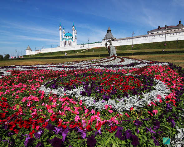 В этом году на цветочное оформление Казани потратят свыше ₽55,4 млн