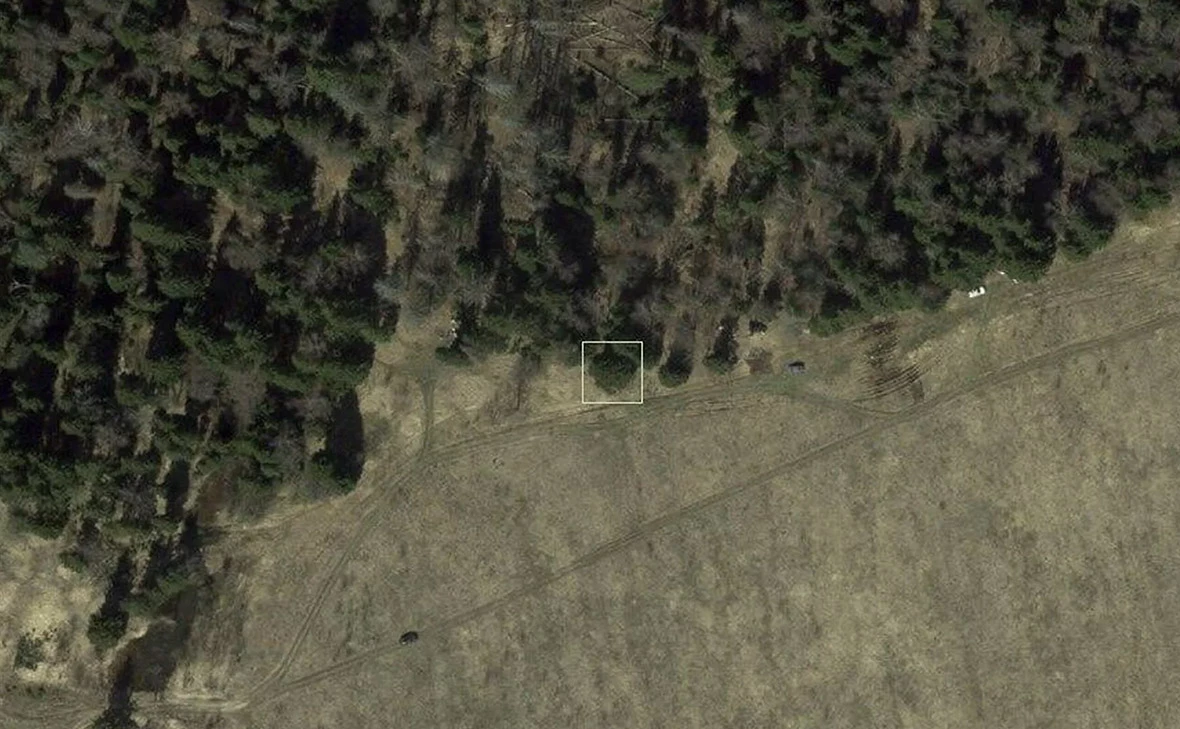 «Рослесинфорг»