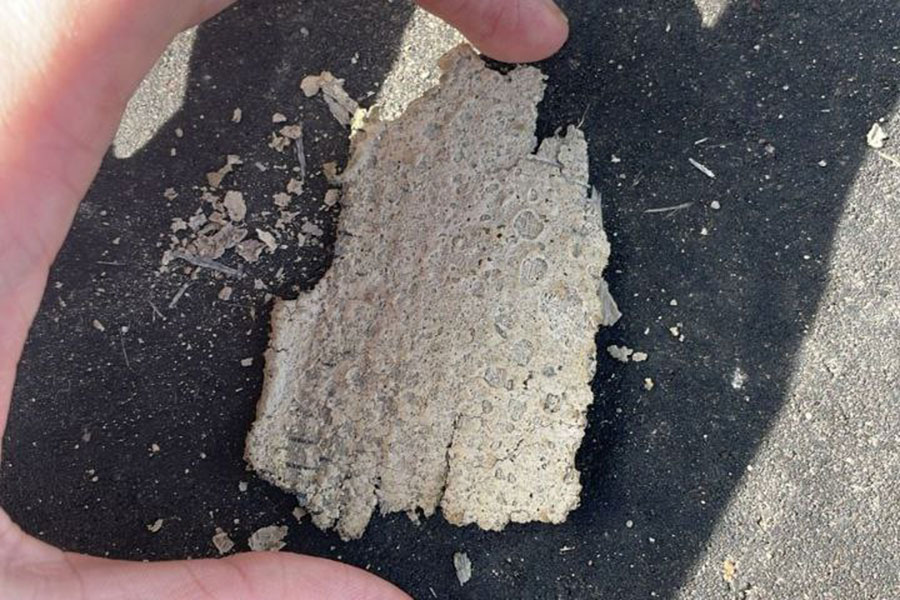 Фото: Очевидцы для РБК