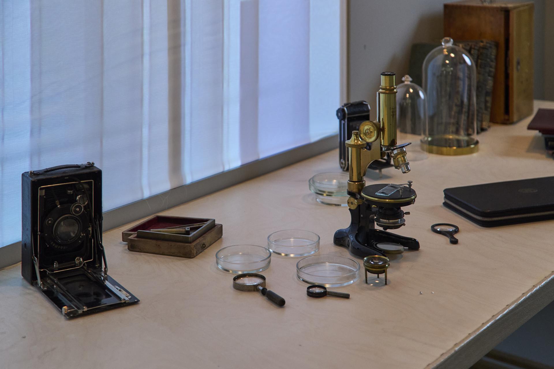 Выставка «Яков Чернихов. Образ будущего»