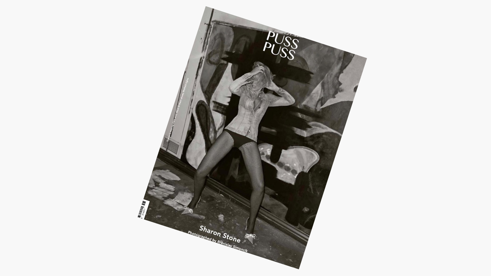 <p>Шэрон Стоун на обложке журнала PUSS PUSS</p>