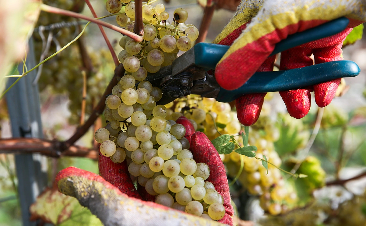 Дмитрий Феоктистов / ТАСС