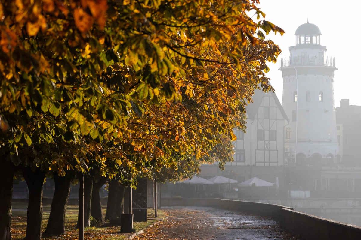 Александр Подгорчук
