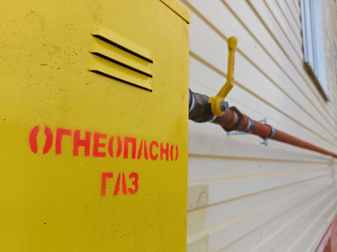 Алексей Коваленок / РБК Новосиибрск