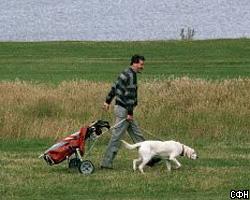 Собака стала почетным членом гольф-клуба