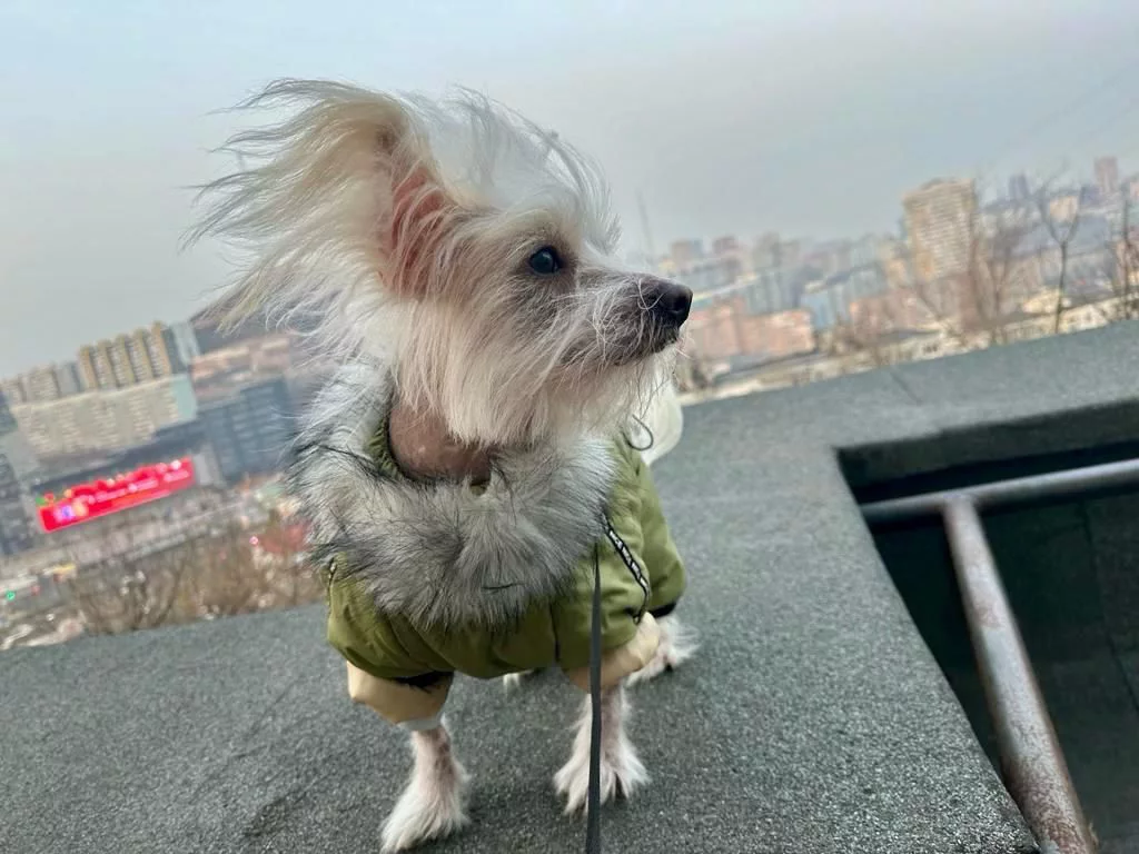 РБК Приморье