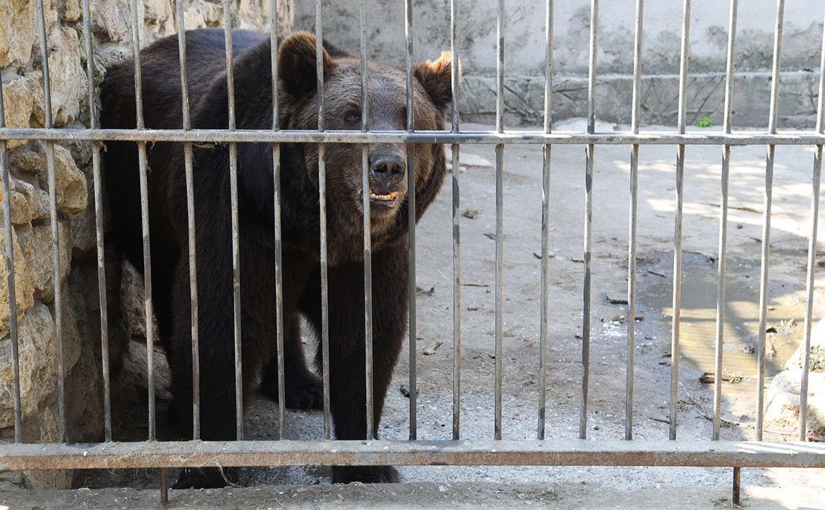 Алексей Белкин / Бизнес Online / ТАСС