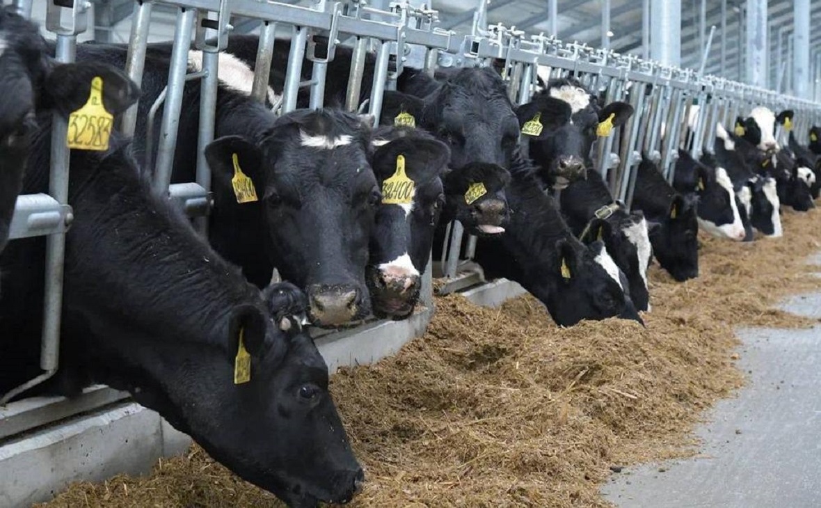 Фото: Минсельхоз Омской области