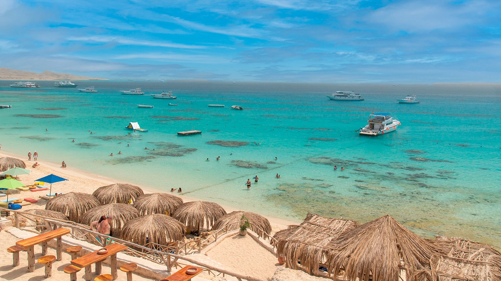 Почему акулы часто нападают на людей в Египте. Экологи объяснили