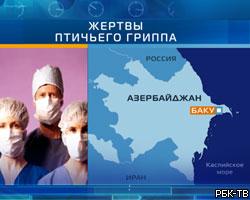 В Азербайджане от птичьего гриппа погибли 5 человек