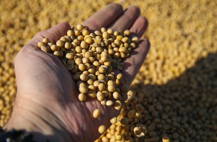 Правительство Приморского края