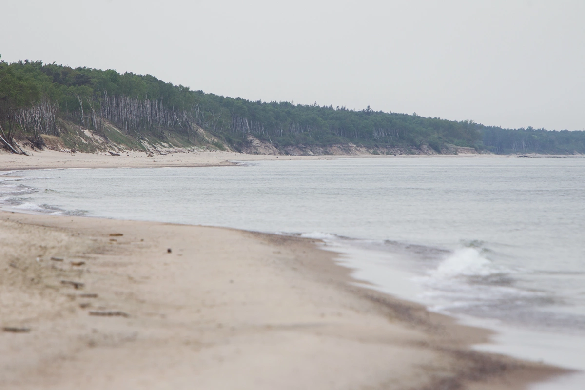Александр Подгорчук