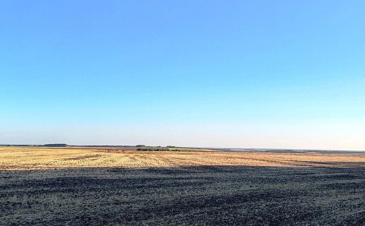 РБК Черноземье