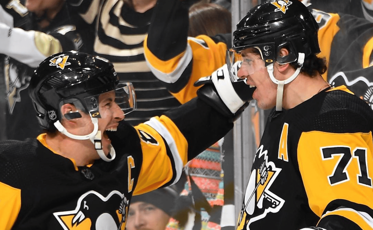 Penguins / Global look press