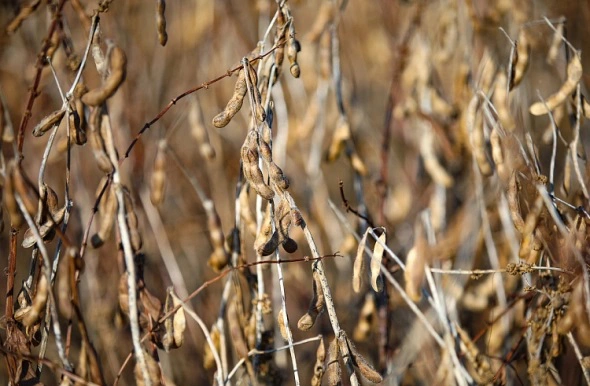 Правительство Приморского края