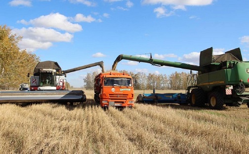 Фото: Минсельхоз Омской области