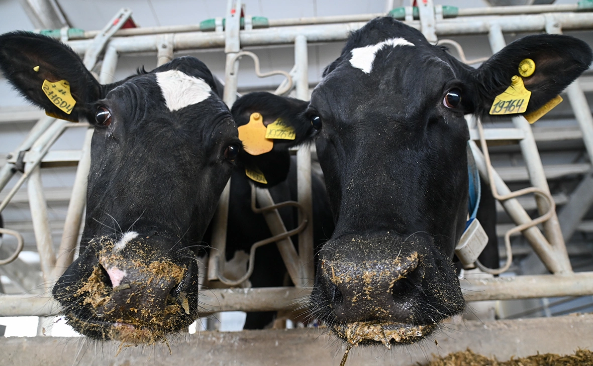 Игорь Онучин / ТАСС