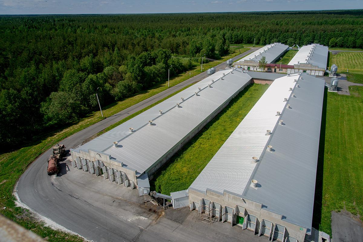 Фото: Kirill Zatrutin / Shutterstock / FOTODOM