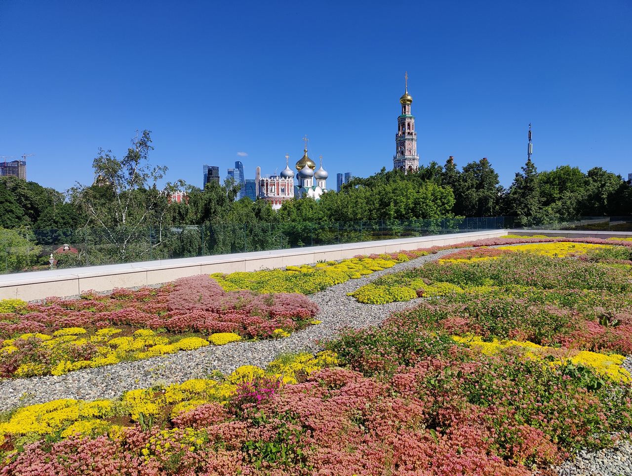 Пример экстенсивной зеленой кровли, Лужнецкий пр. 25, г. Москва