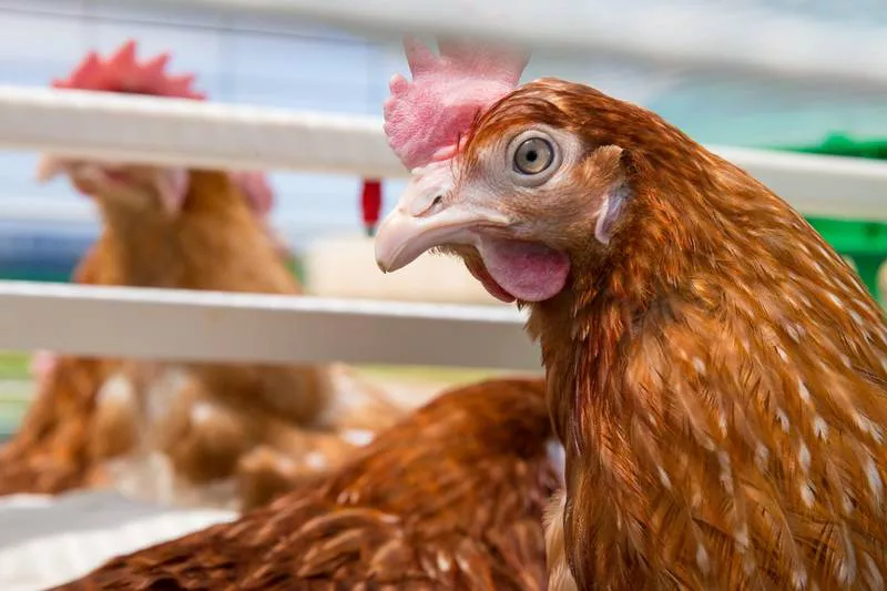 Правительство Сахалинской области