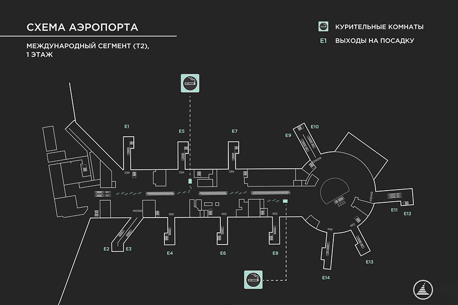 Фото: Аэропорт Домодедово