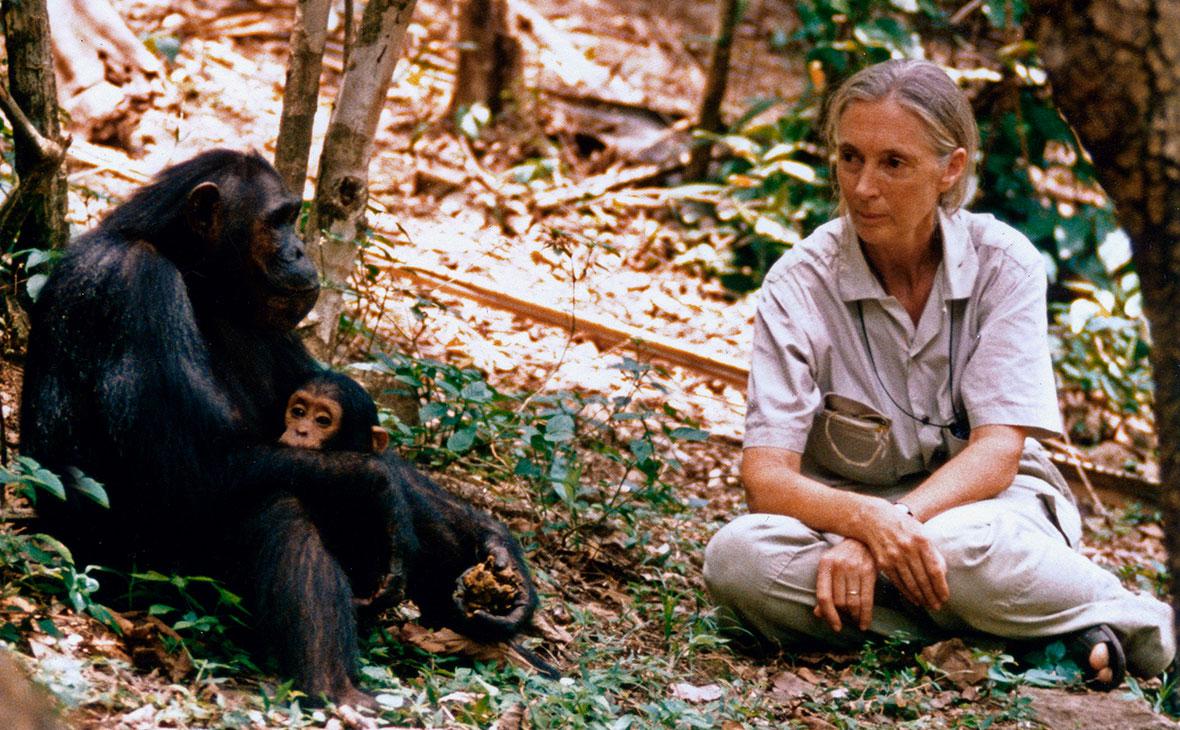 Джейн Гудолл