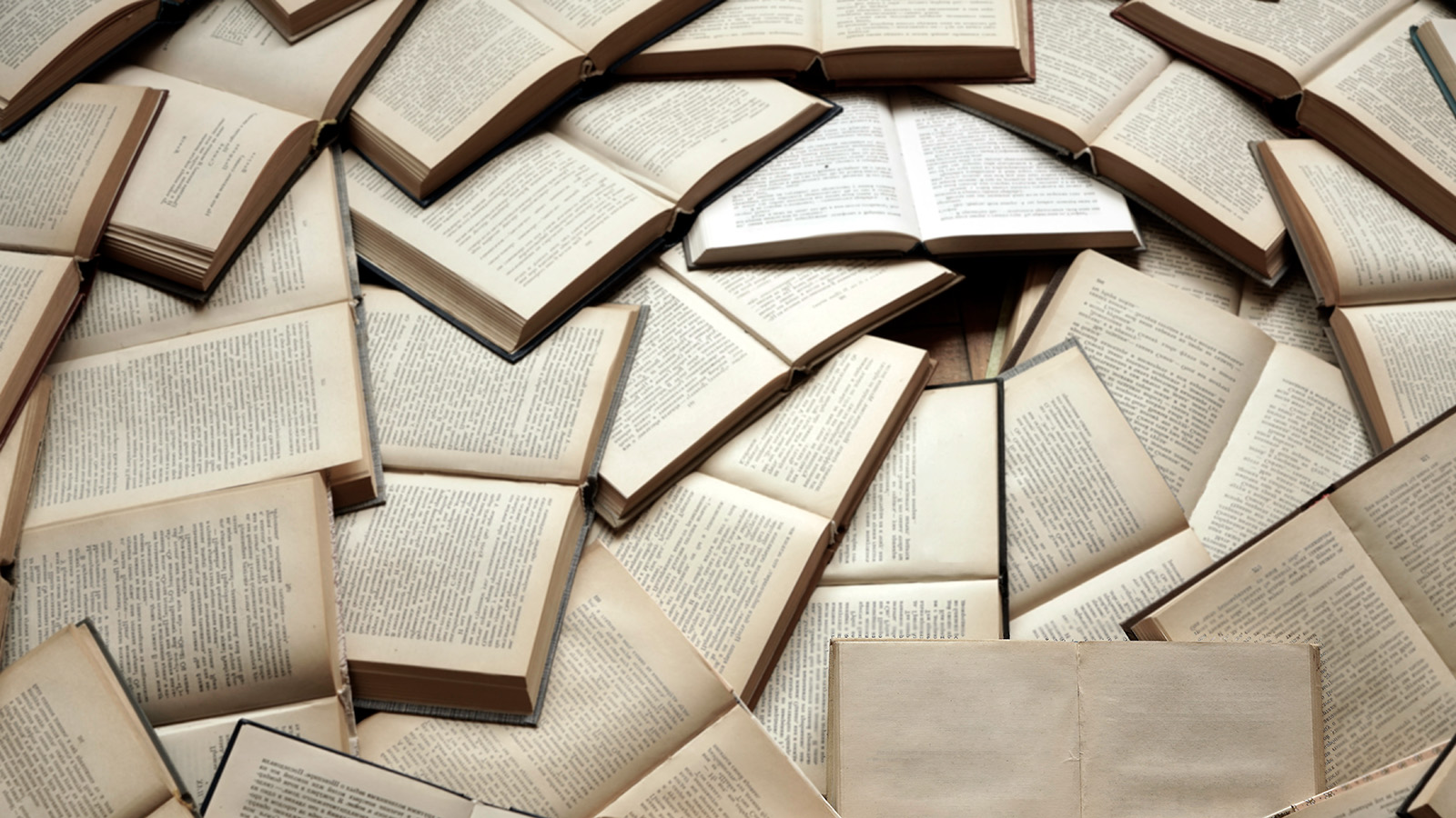 Сколько слов содержит русский язык. Филологи подсчитали