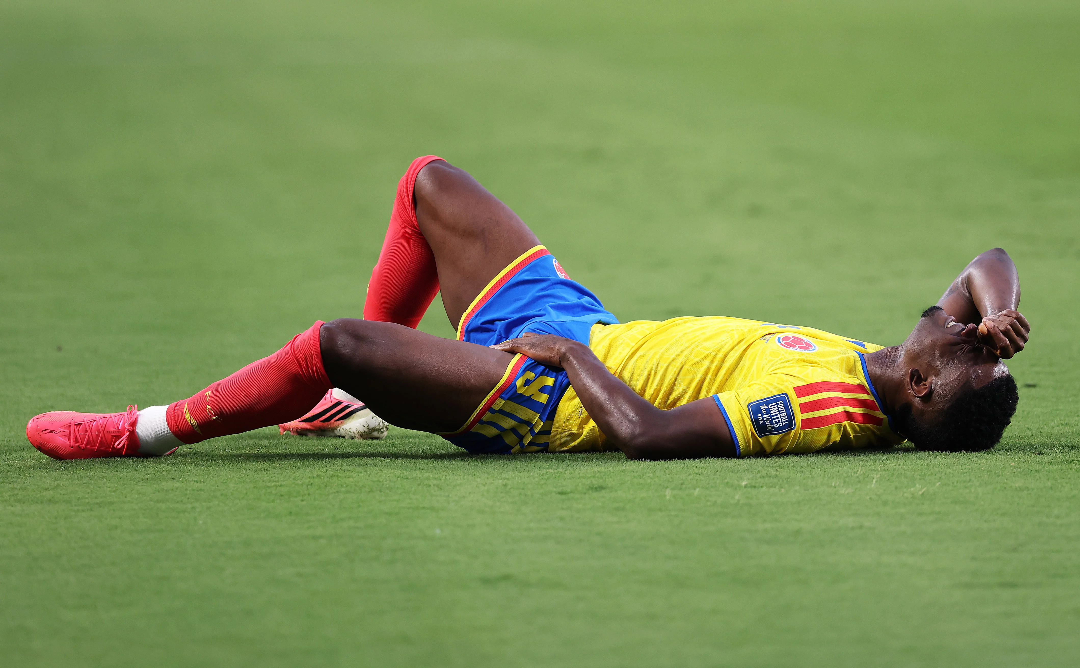  Luke Hales / Getty Images