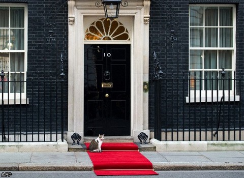 Британский премьер Дэвид Кэмерон уволил собственного кота