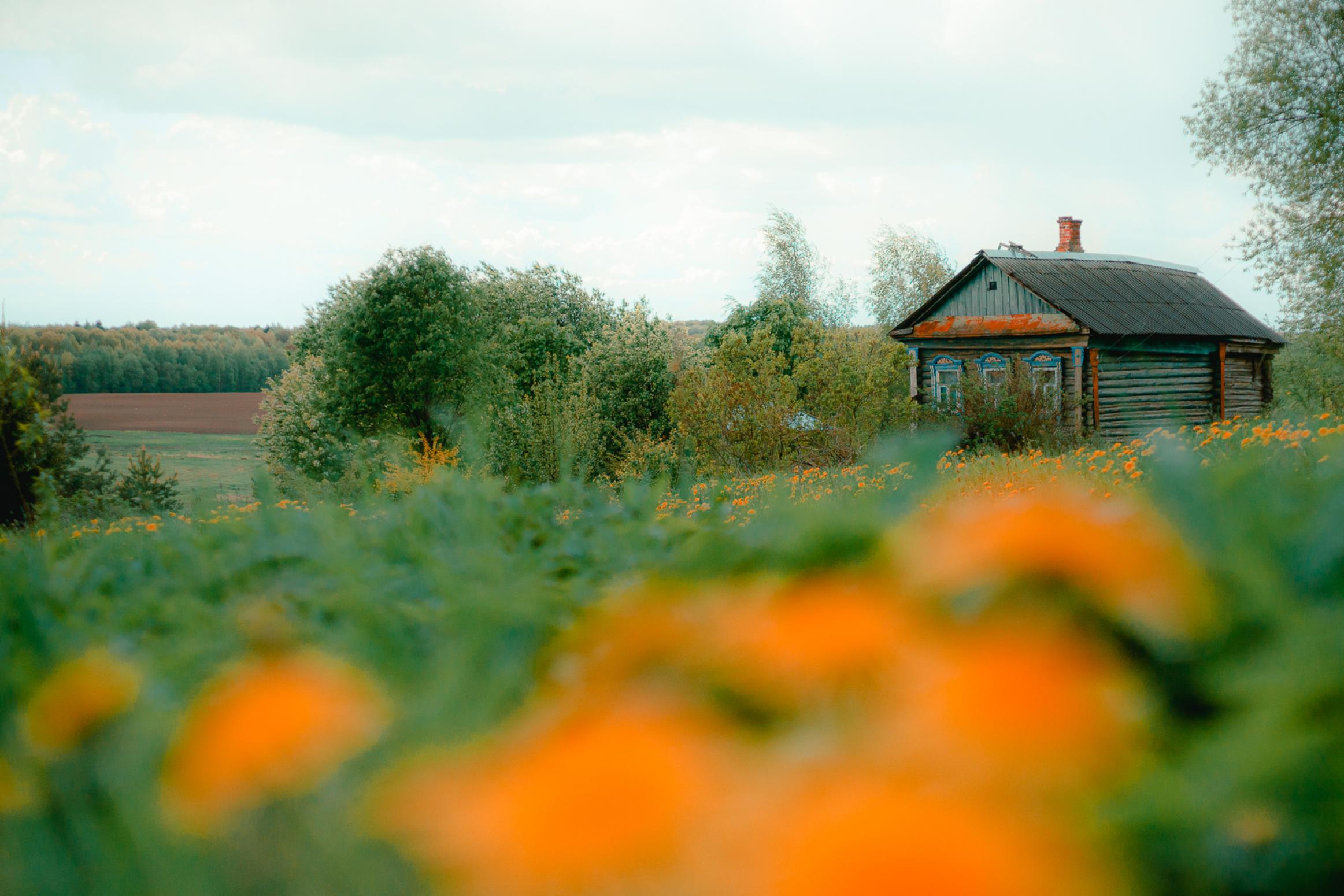 Фото: пресс-служба