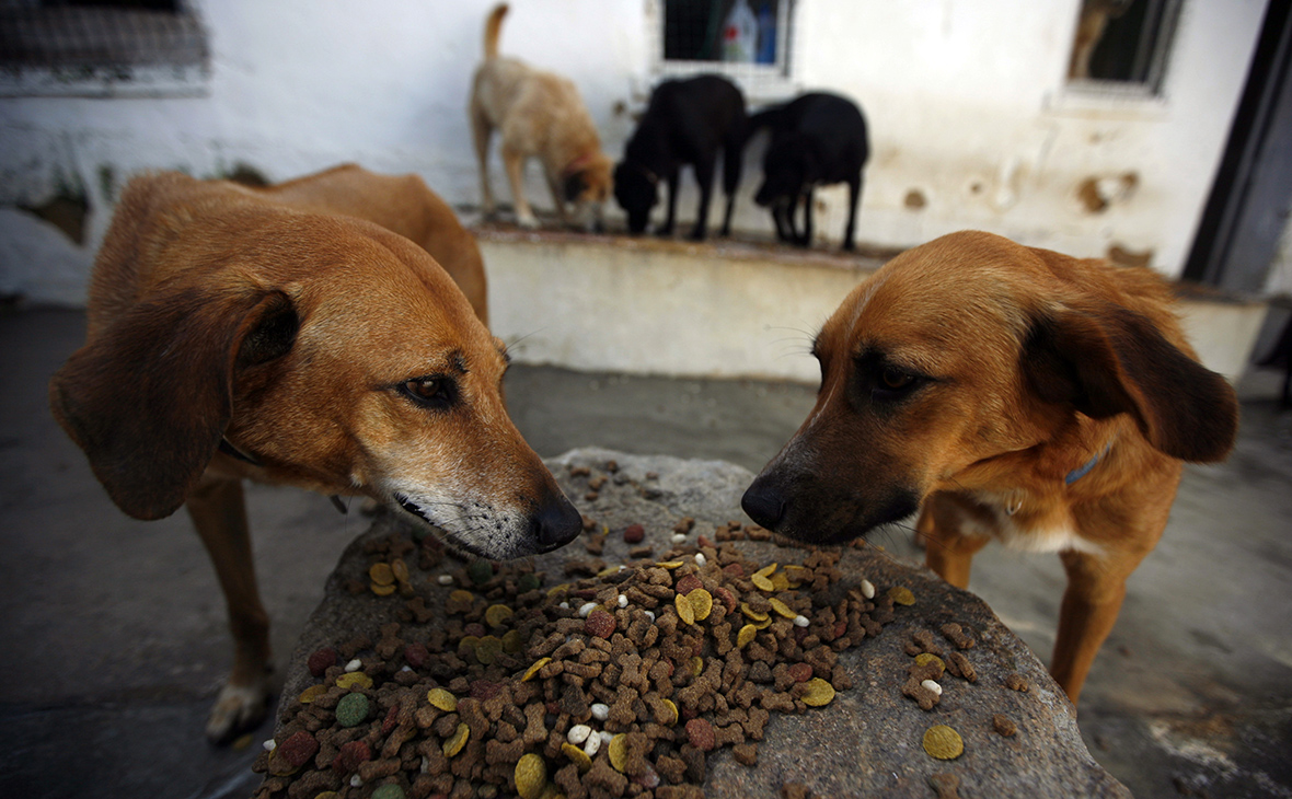 Фото: Rafael Marchante / Reuters