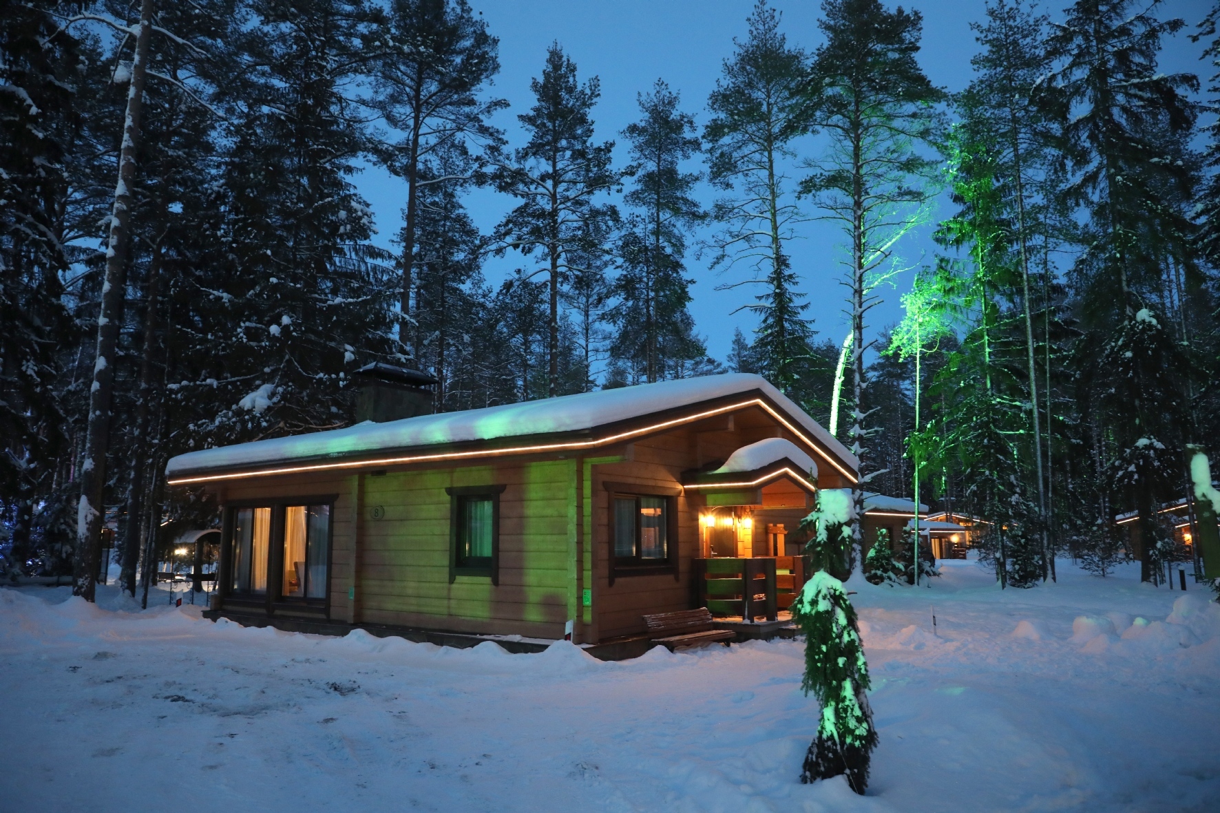 Фото: Холявчук Светлана / PhotoXPress.ru