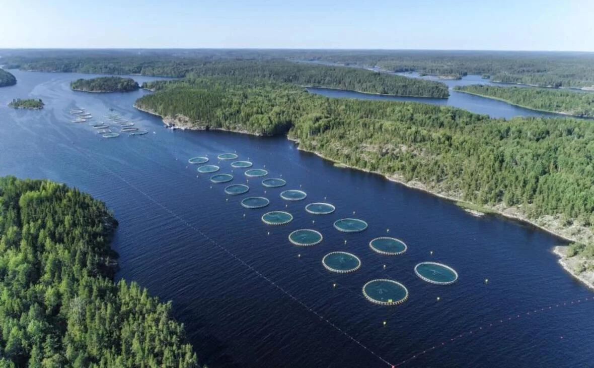 gov.karelia.ru