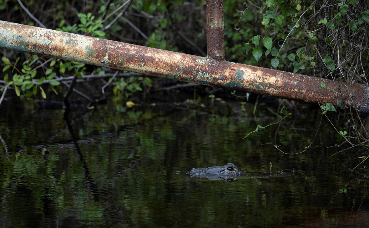 Фото: Marco Bello / Reuters