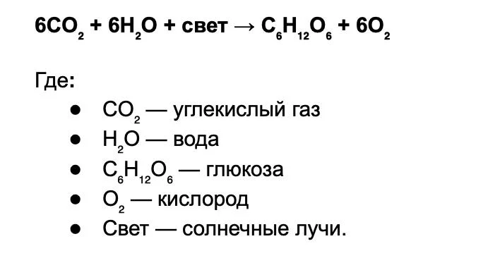 Что такое фотосинтез и как он происходит