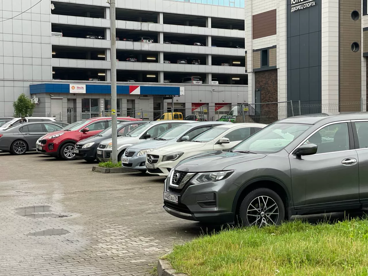 Марина Маркевич