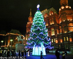 Главная новогодняя елка России будет установлена на Соборной площади