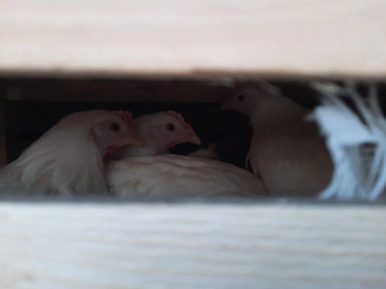 Правительство Камчатского края