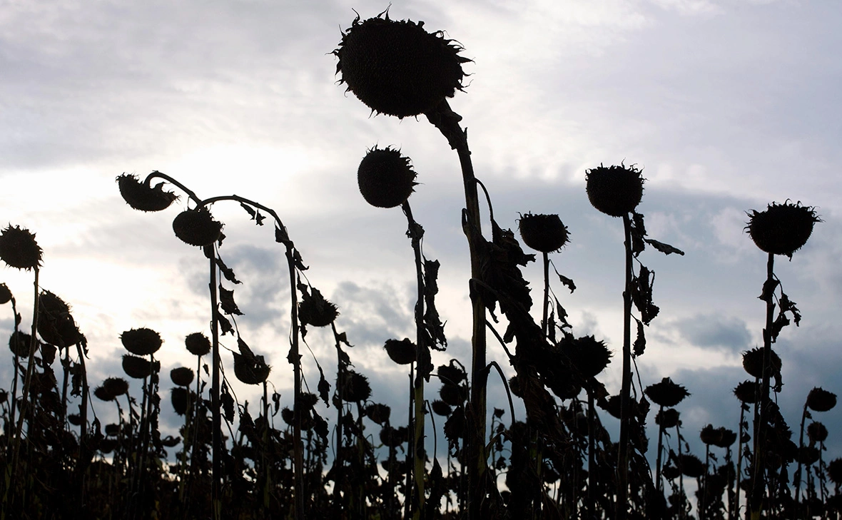 Bernard Jaubert / imagebroker.com / Global Look Press