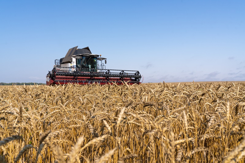 Эксперт оценил влияние санкций на агробизнес Новосибирской области