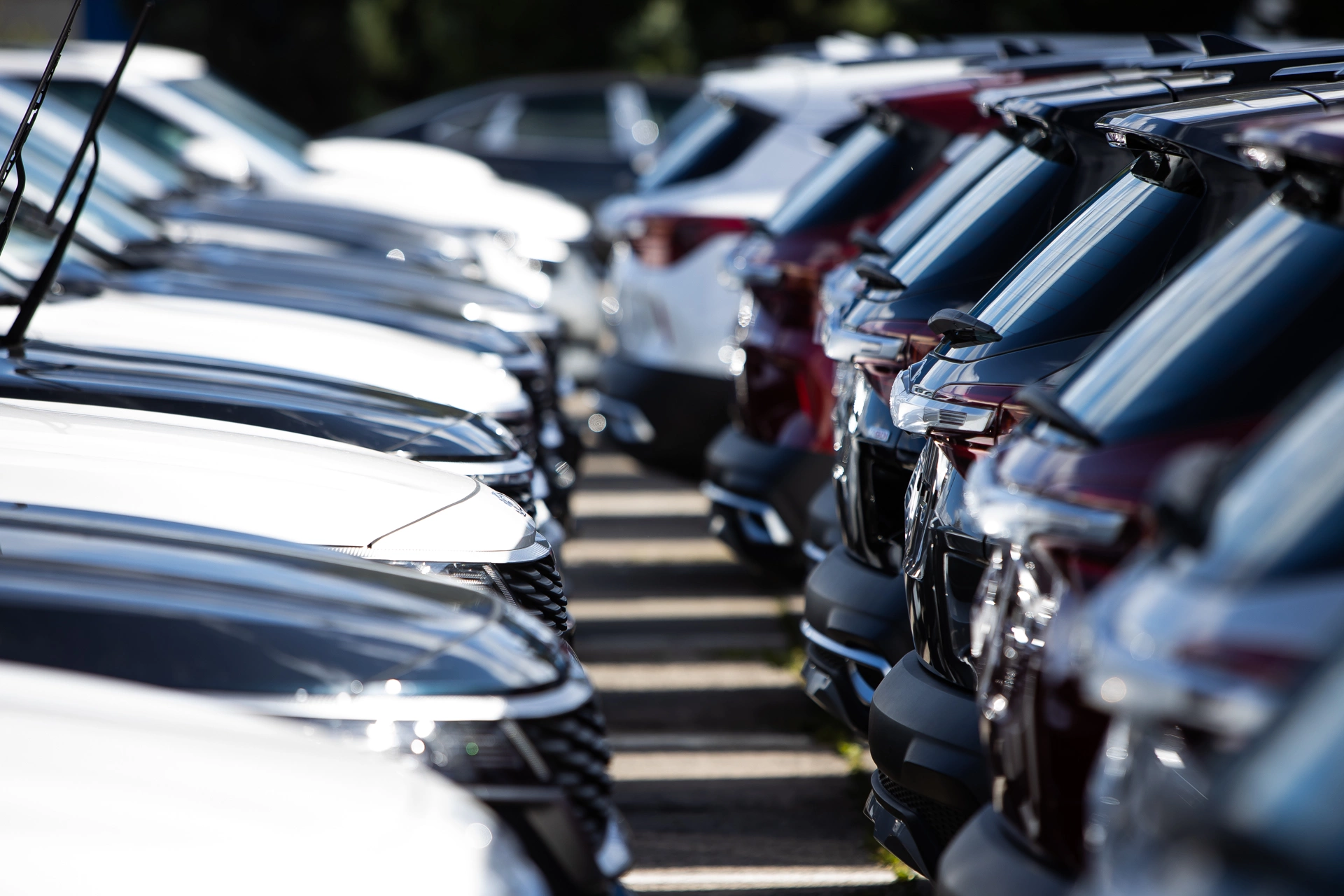 Александр Подгорчук