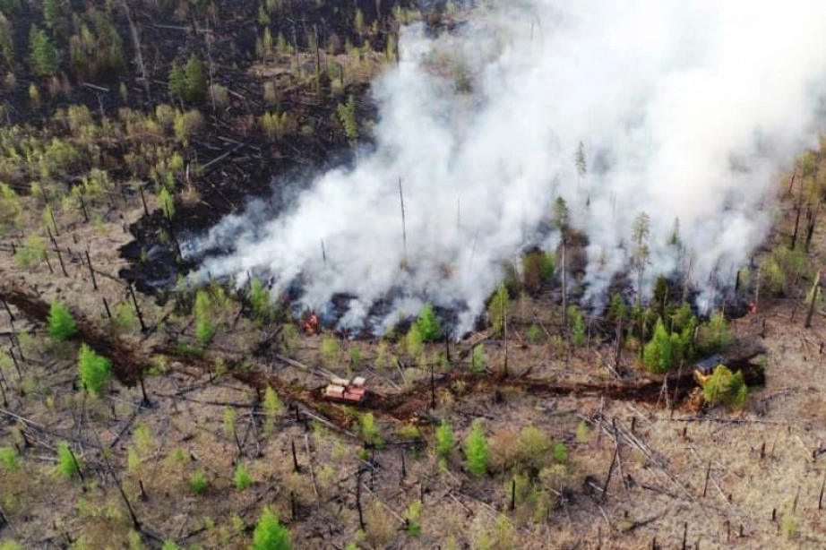 Пресс-служба министерства лесного хозяйства и лесопереработки Хабаровского края