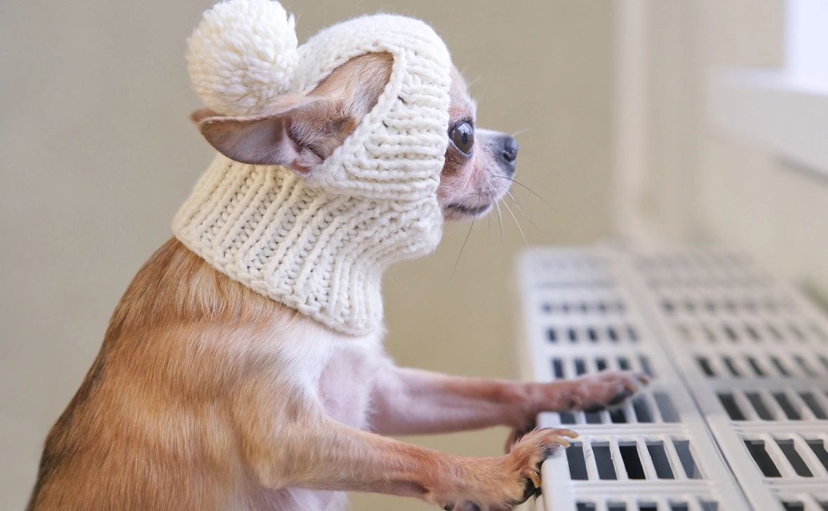 EugeneEdge / Shutterstock