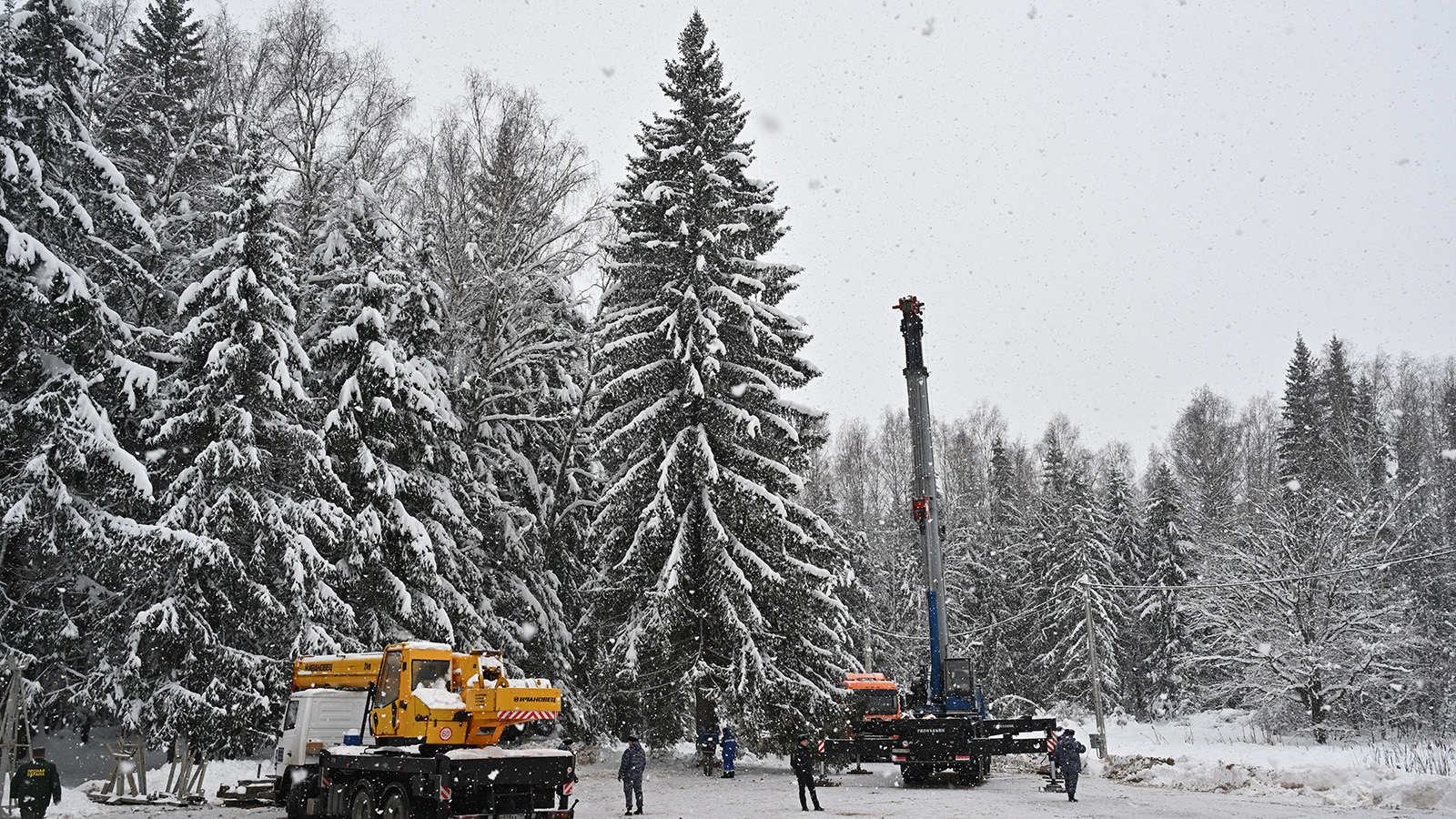 <p>Рубка главной новогодней елки вблизи деревни Знаменка Можайского городского округа Московской области</p>