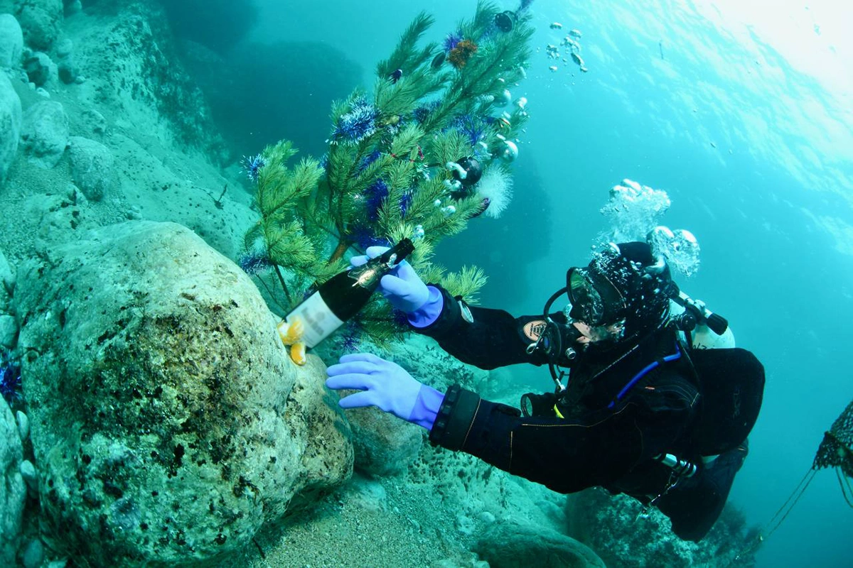 Как российские виноделы украсили свои елки