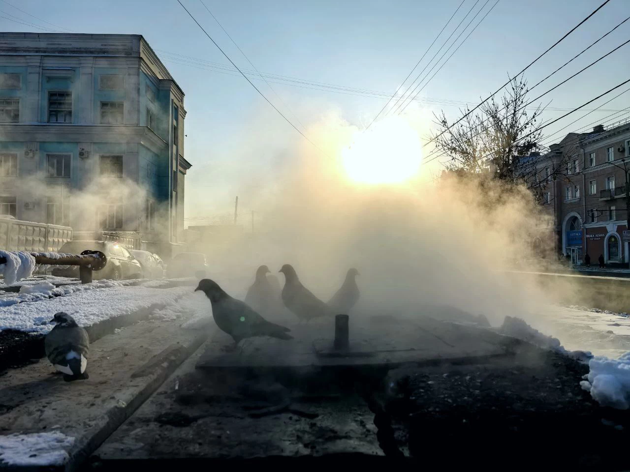 Алексей Коваленок / РБК Новосибирск